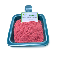 Biologisch gevriesdroogd aardbeipoeder 100% puur natuurlijk fruitpoeder groothandel rechtstreeks van de fabriek
