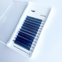 Cils Premium Noir Foncé LC LD L M Curl Extensions de Cils Mega Volume en Faux Cils de Haute Qualité