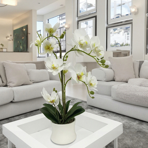 Piante di <span class=keywords><strong>Orchidea</strong></span> Artificiali in PEVA di Alta Qualità, Realistiche al Tatto, con Vaso, Fiori di <span class=keywords><strong>Orchidea</strong></span> con Vaso <span class=keywords><strong>per</strong></span> Decorazione d'Interni - Product Image 6