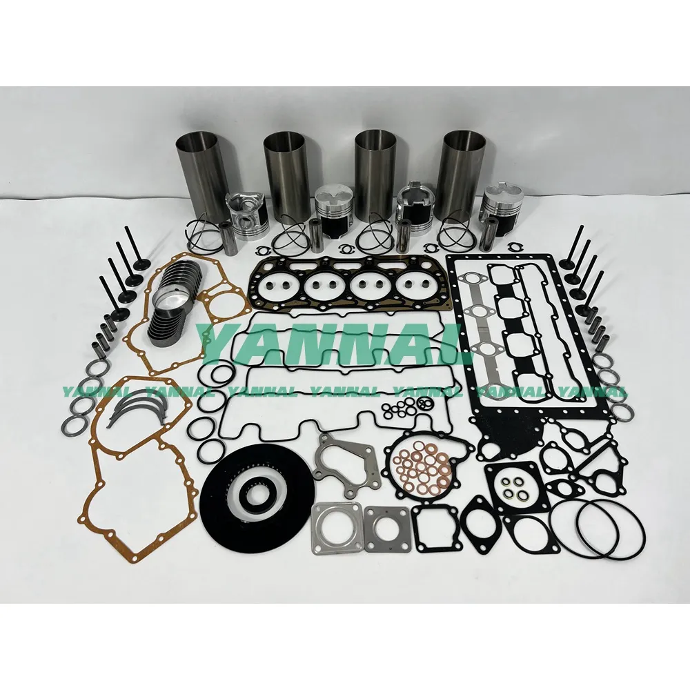 C2.2 Kit de révision et de reconstruction avec roulement de moteur et Valves pour pièces de rechange de moteur CAT