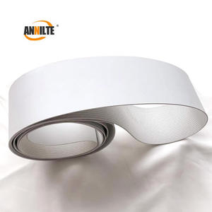 Bande transporteuse alimentaire de remplacement Annilte pour Intralox, Rexnord, <span class=keywords><strong>Habasit</strong></span> - Product Image 5