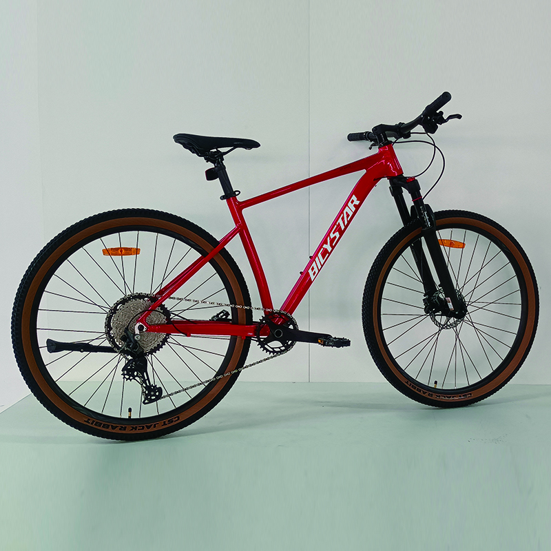 Bicycle Santa Cruz High Quality Mountain Bikes for All