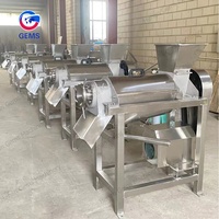 Industriële Granaatappel Juicer Granaatappel Extract Sap Roestvrij Staal Citroen Sinaasappel Juicers Passievruchten Juicer Machine