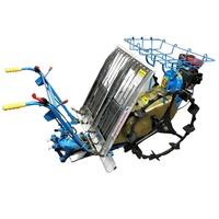 Asoline-ransplanter de hielo, 2 Rows