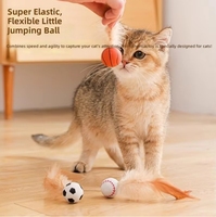 Ensemble de jouets pour chat en caoutchouc à motifs sportifs : ballon de football, ballon de basket, ballon de baseball, plume, jouet interactif rebondissant à lancer pour chats d'intérieur