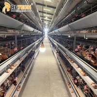 Système de cages automatiques pour poulets d'Indonésie, capacité 30 000 poules pondeuses, équipement d'élevage avicole à vendre