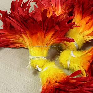 Plumas de Gallo Teñidas de Primera Calidad <span class=keywords><strong>para</strong></span> Disfraces de Carnaval y Manualidades |   Certificado Veterinario |   Venta al por Mayor - Product Image 2