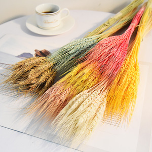 新2022创意非凡鲜花交付保存小麦家居装饰礼品花墙小麦 - Product Image 2