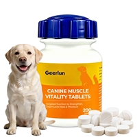 Comprimés nutritionnels pour chiens fabriqués en usine OEM, renforcent le corps, équilibrent le métabolisme, vitalité musculaire canine, comprimés à mâcher