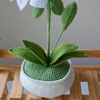 Plante en pot Amaryllis au crochet de luxe exclusive, artisanale, en fil de laine haut de gamme, fleurs artificielles haut de gamme pour la décoration intérieure