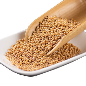 Vendita all'ingrosso di fabbrica di alta qualità condimenti da cucina semi di <span class=keywords><strong>senape</strong></span> giallo semi di <span class=keywords><strong>senape</strong></span> - Product Image 3