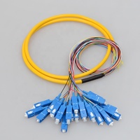 Kabel Pigtail Bundel Serat Optik 24 Core Kustom SC/UPC SM 1.5m G652D 9/125um Singlemode 0.9mm FTTH POE/GSM Selubung PVC/LSZH Patch