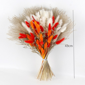 G82 Haute Qualité Fête <span class=keywords><strong>de</strong></span> Mariage Noir Fluffy Pampas Boho Décoration Maison Table Centre <span class=keywords><strong>de</strong></span> Table Herbe Séchée Arrangement <span class=keywords><strong>de</strong></span> Fleurs Naturelles - Product Image 4