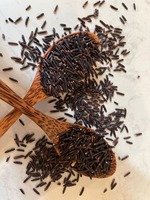 RIZ NOIR Biologique à Grains Longs Tien Giang Durée de Conservation de 2 Ans Nutrition Saine Haute Qualité Emballage en Gros Logo Personnalisé Riz