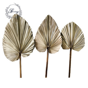 Feuilles de <span class=keywords><strong>palmier</strong></span> séchées Instagram pour la décoration de mariage - Product Image 1