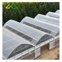 Polyfolie Gotische Landbouwkas Kit |   Enkelvoudige grote multispan commerciële constructie voor hoogproductieve groente- en bessenteelt