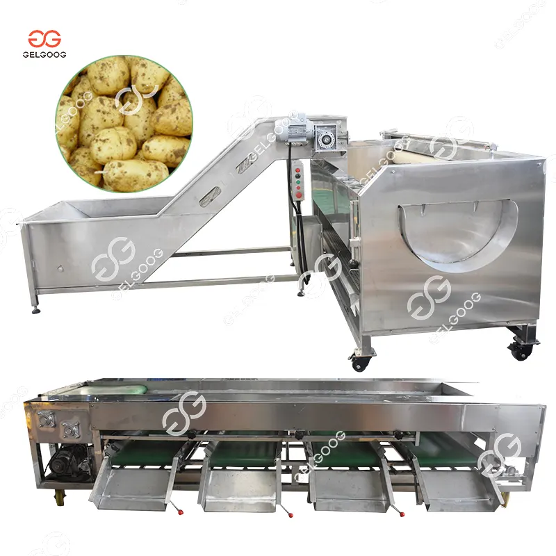 Brush Roller Ginger Peeler Machine Industrial Potato Carrot Peeling Machine Cassava Peeling And Washing Machine