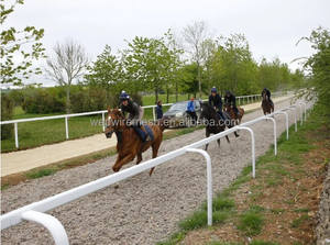 Clôture <span class=keywords><strong>de</strong></span> périmètre d'arène <span class=keywords><strong>de</strong></span> piste <span class=keywords><strong>de</strong></span> <span class=keywords><strong>course</strong></span> en PVC blanc pour clôture <span class=keywords><strong>de</strong></span> paddock <span class=keywords><strong>de</strong></span> courses <span class=keywords><strong>de</strong></span> <span class=keywords><strong>chevaux</strong></span> - Product Image 3