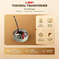 Transformateur toroïdal pour amplificateur audio basse fréquence 220V 10V AC – Composants de câblage – Prix de gros – Longue durée de vie