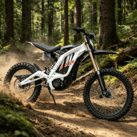 Stock disponible en entrepôt, Surron Light Bee X, destiné aux jeunes et aux adultes, vélo électrique tout-terrain, livraison rapide