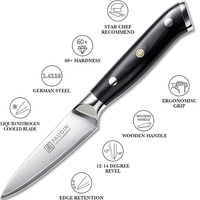 Couteau d'office 3.5 pouces lance damas en acier inoxydable éplucheur G10 poignée couteau de cuisine pour fruits couteau d'office japonais à haute teneur en carbone