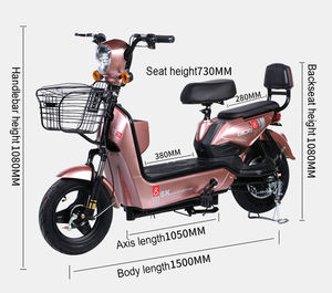 Mtbgoo 48V 350W alta calidad 14 pulgadas Color negro <span class=keywords><strong>bicicleta</strong></span> otra <span class=keywords><strong>bicicleta</strong></span> eléctrica para hombres <span class=keywords><strong>Kit</strong></span> de <span class=keywords><strong>bicicleta</strong></span> eléctrica con pantalla LCD - Product Image 3