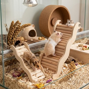 Offre Spéciale Escaliers <span class=keywords><strong>de</strong></span> Hamster multifonctionnels <span class=keywords><strong>de</strong></span> luxe en spirale en bois massif personnalisables et écologiques Fournitures pour petits animaux - Product Image 4