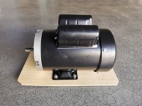 Moteur électrique WAYLEAD série TEFC monophasé 1,1 kW 1,5 CV 115/230 V 60 Hz à bride C 3500 tr/min asynchrone CA Garantie 12 mois