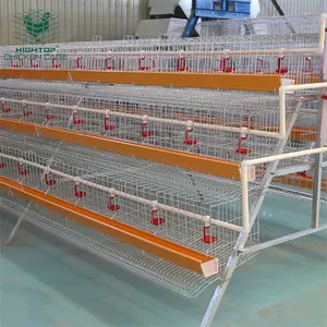 Hot Sale Modern Poultry Chicken Farm A Type 3 Tier Eggs Layer Cages Price For Sale In Zimbabwe Ethiopia South Africa Zambia