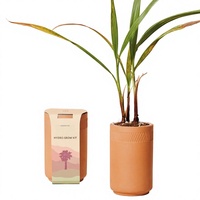 Kit de plantation monobloc en céramique pour herbes, fleurs et succulentes, design champêtre, pour l'exportation