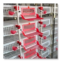 Équipement d'élevage avicole le plus vendu, cage à cailles de type H à vendre