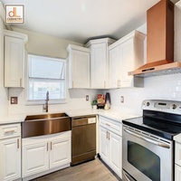 Harga Khusus Pro untuk Kabinet Dapur Modular Modern dari Kayu Lapis Putih dengan 2 Laci, Panel Terangkat, Penutup Lembut, dan Rak yang Dapat Disesuaikan.