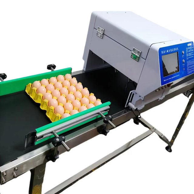 Yaomatec Six-head High Speed Industrial Automatic Egg Inkjet Printer Marking Eggs Date Batch Number Logo Coding Machine