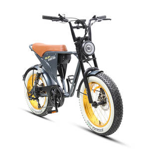 Ruota color oro TXED 48V 250W fuoristrada 7-speed bicicletta elettrica da terra per due piloti - Product Image 2