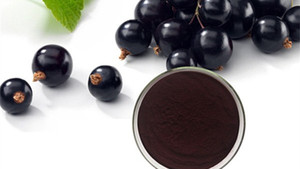 Poudre d'extrait de fruit d'<span class=keywords><strong>aronia</strong></span> noir naturel 60% proanthocyanidines 40% polyphénols qualité alimentaire pot Mason - Product Image 2