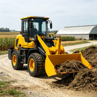 2,5-Tonnen-Radlader mit 0,9 Kubikmeter Schaufel für Sand-, Kies- und Hofbeladung sowie Tierfutter-Handling – Vielseitiger Einsatz
