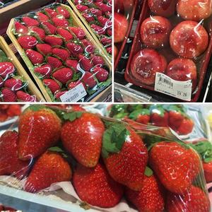 <span class=keywords><strong>Meilleur</strong></span> prix petit plateau <span class=keywords><strong>de</strong></span> fruits <span class=keywords><strong>de</strong></span> viande rafraîchissant <span class=keywords><strong>film</strong></span> alimentaire en plastique emballage rétractable/machine d'emballage manuel - Product Image 6