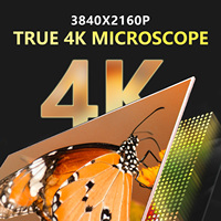 Microscope numérique LCD IPS 10,1 pouces personnalisé OEM d'usine 4K 13MP 1600X pour la soudure de circuits imprimés et la réparation électronique