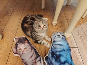 Cama Inclinada Cama Comemoração Travesseiro Suporte Travesseiro com Lavável Capa Macia, Travesseiro Incomum - Product Image 2