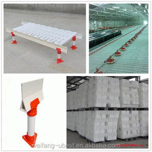 Gran oferta, venta directa <span class=keywords><strong>de</strong></span> fábrica, sistema automático <span class=keywords><strong>de</strong></span> alimentación y bebida, equipo avícola para pollos <span class=keywords><strong>de</strong></span> engorde - Product Image 5