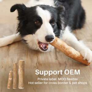 Doğal Kahve Ağacı Köpek Çiğneme Çubuğu Dayanıklı Zeytin Ağacı Evcil Hayvan Oyuncağı Anksiyete Giderici Diş Temizleyici Diş Bakımı Yavru ve Yetişkin Köpekler için - Product Image 2