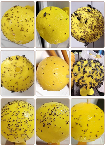 Yellow Sticky Ball Insect Trap Outdoor Fruit Fly Trap Garden <b>Pest</b> <b>Control</b> Eco Friendly Reusable - Product Image 5