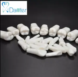28 32 Tanden Dental Typodont Kunstmatige Tanden Voor Studenten Praktijk