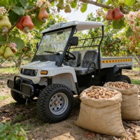 Véhicule utilitaire électrique 10KW 4x4 tout-terrain résistant à l'eau salée, buggy de livraison pour les stations balnéaires