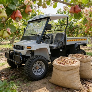 Véhicule utilitaire <span class=keywords><strong>électrique</strong></span> 10KW 4x4 tout-terrain résistant à l'eau salée, buggy de livraison pour les stations balnéaires - Product Image 3