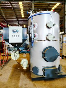 Промышленный парогенератор на угле и биомассе 300, 500, 700 кг, полный комплект оборудования, недорогой - Product Image 3