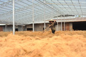 Bales de fibres de coco naturelles brun doré, longueur 5 à 25 cm, matériau écologique pour le rembourrage de canapés, matelas et agriculture - Product Image 3
