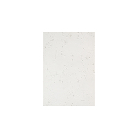 Panneaux de mur en pierre artificielle de travertin rustique flexible de conception de MCM panneaux pour des projets de modèle 3D de centre commercial