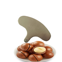 Casse-noix portable décortiqueur noix MACADAMIA NOIX ouvre-clé en métal NUT CRACKERS