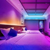 Guirlandes lumineuses intelligentes TSINYE RGB à changement de couleur pour l'extérieur, avec télécommande et contrôle par application, tubes LED flexibles pour chambre à coucher